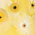 Black Eyed Susan